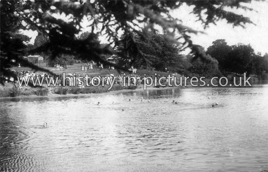Water Polo Match, Baxted Park, Gt Baxted, Essex. August Bank Holiday 1908